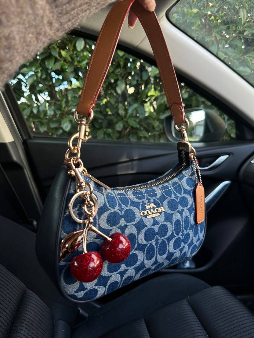 Bolso Coach Denim – Enlace de Hacoo
