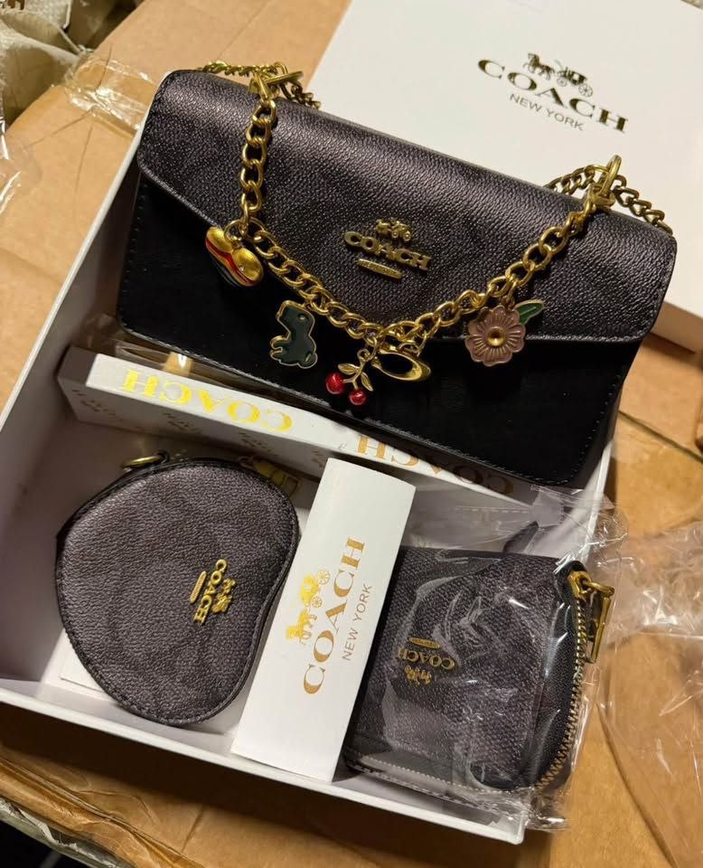 Coach & set – Hacoo link · photo 3