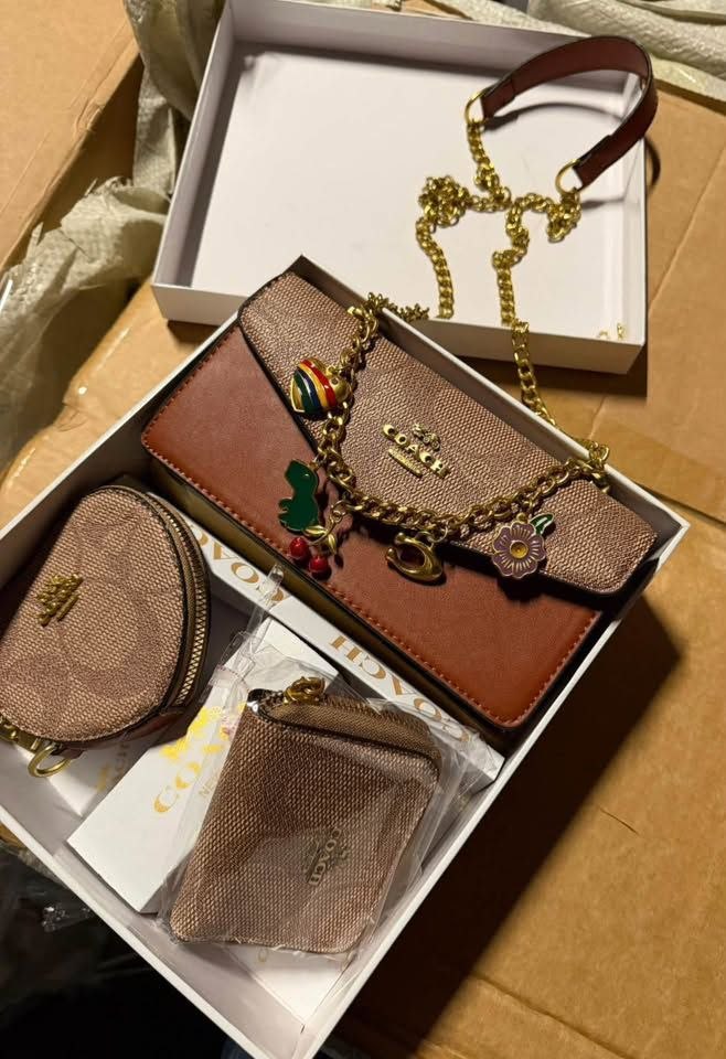 Coach & set – Hacoo link · photo 5
