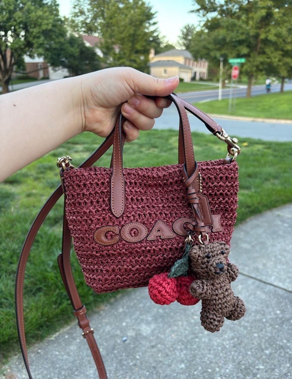 Borsa Coach – Link Hacoo · foto 2