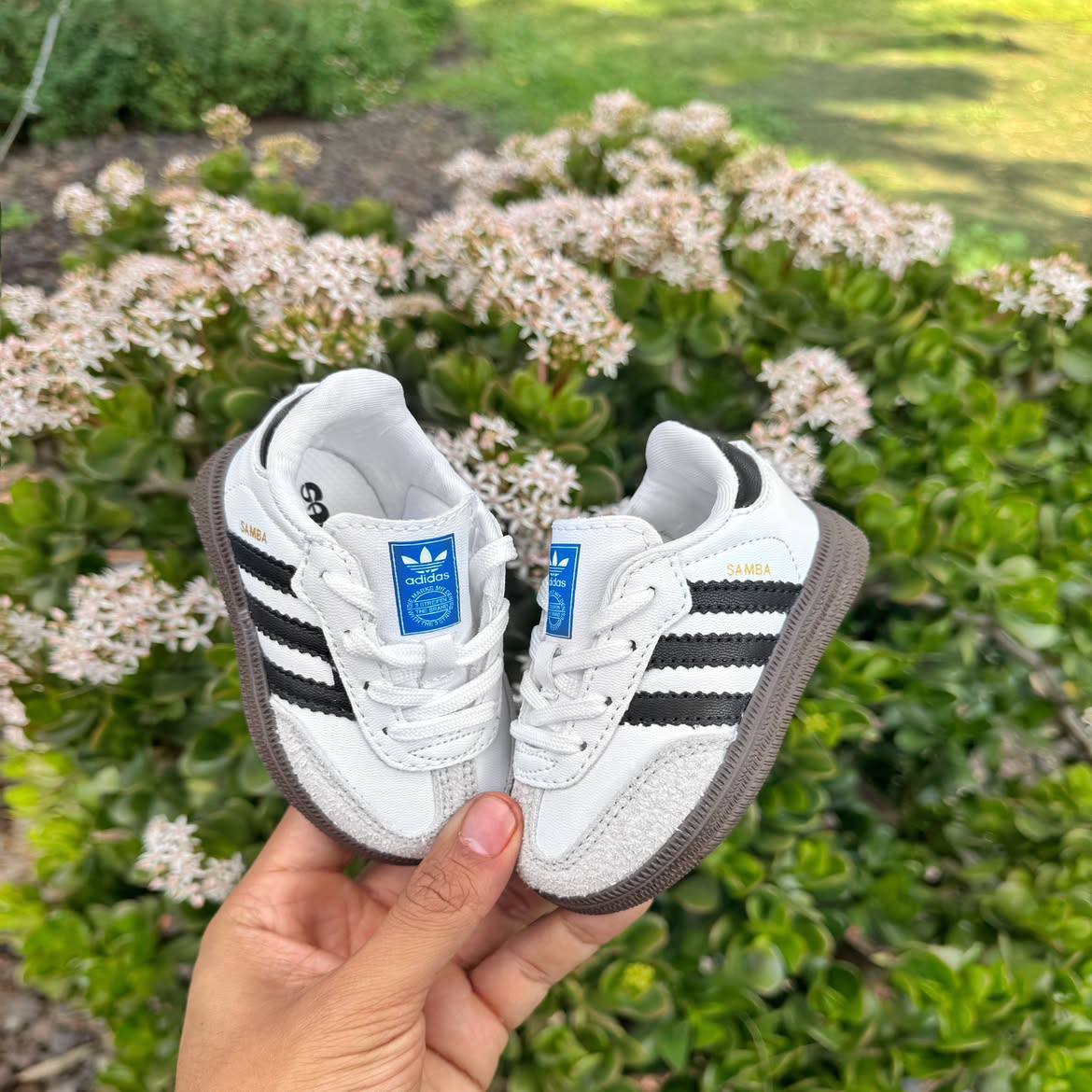 Baskets Adidas Samba – Lien Hacoo