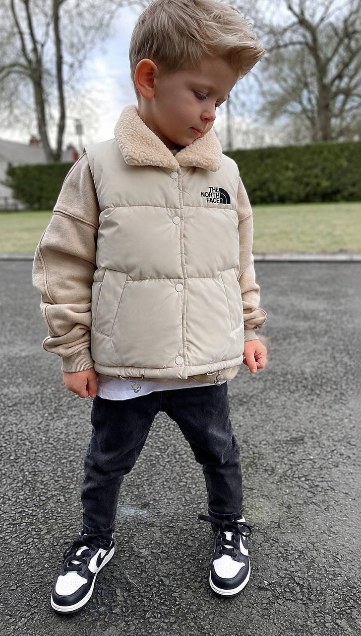 Gilet The North Face – Link Hacoo · foto 4