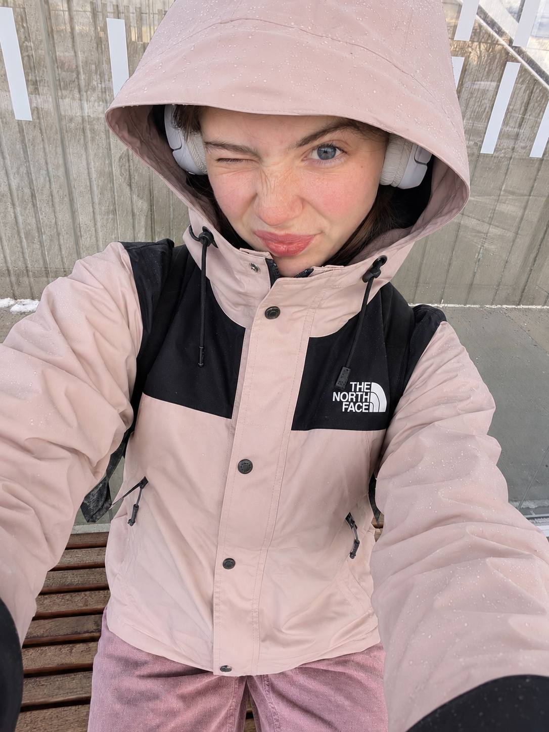 Giacca The North Face – Link Hacoo · foto 2