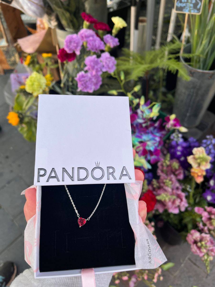Pandora Accessories List necklace – Hacoo link · photo 5