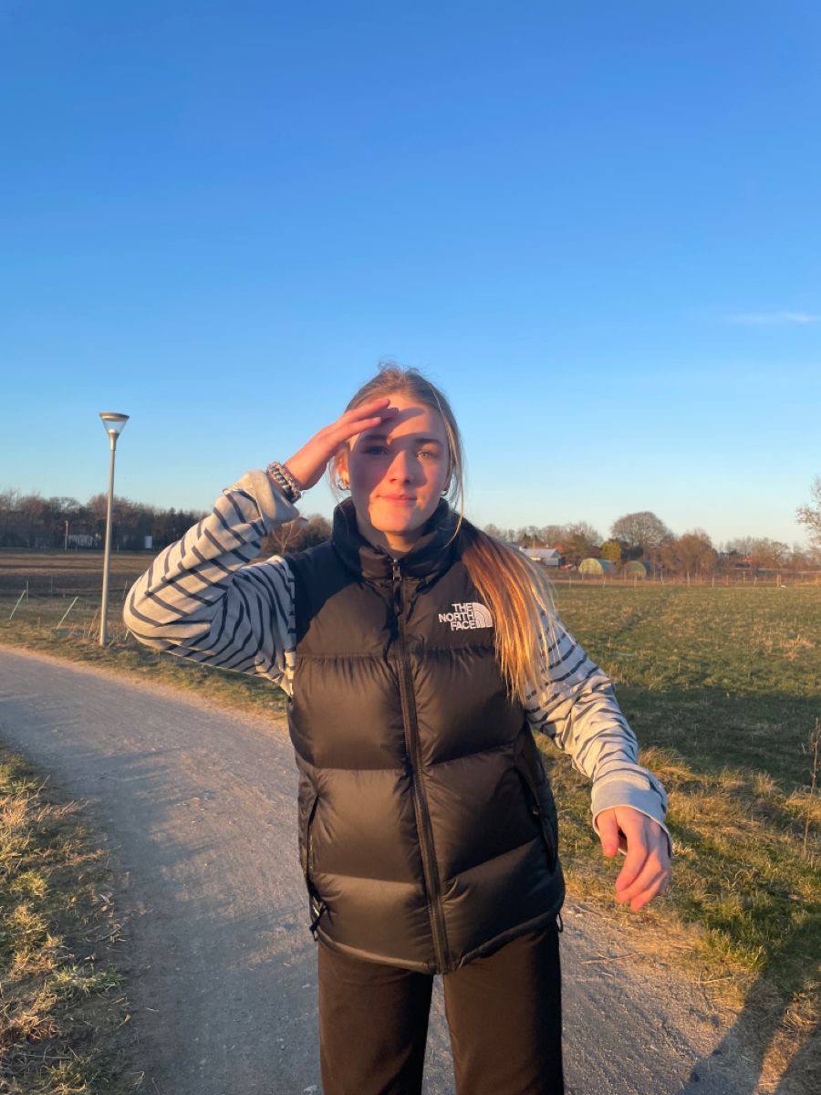 Gilet The North Face – Link Hacoo · foto 2