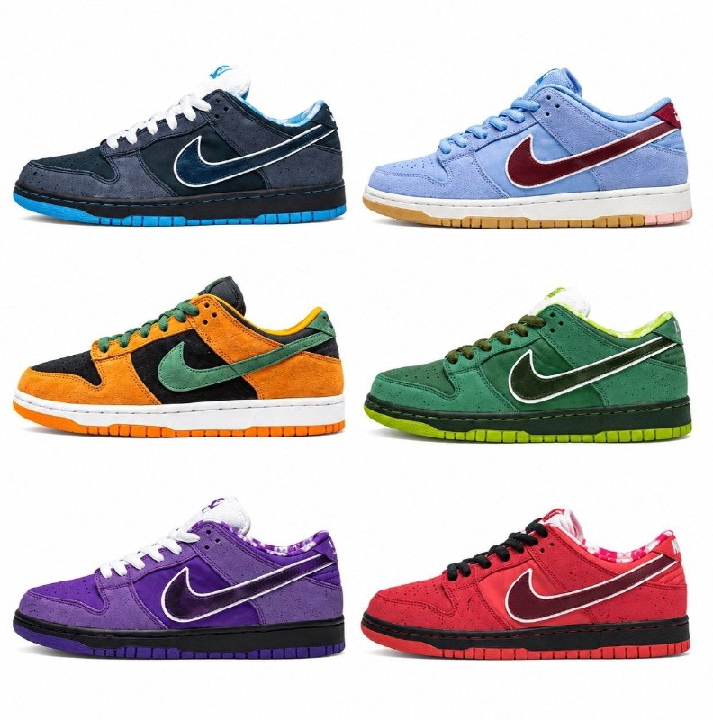 Baskets Nike Dunk – Lien Hacoo