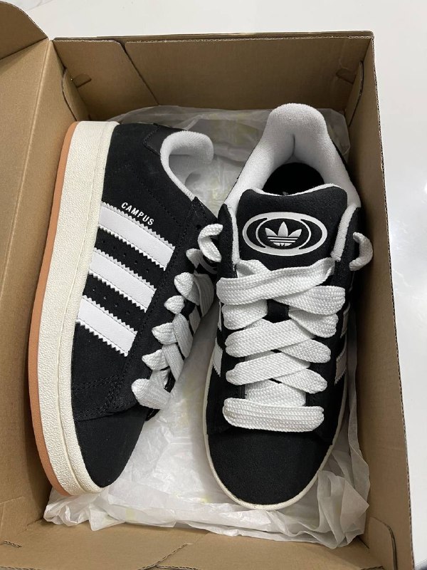 Baskets Adidas Campus – Lien Hacoo