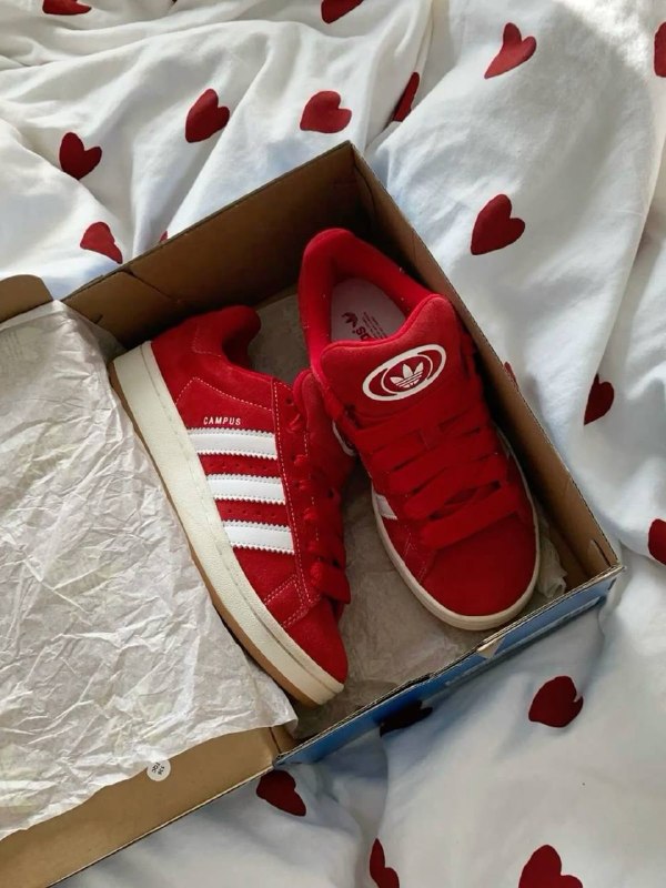 Baskets Adidas Campus – Lien Hacoo · photo 4