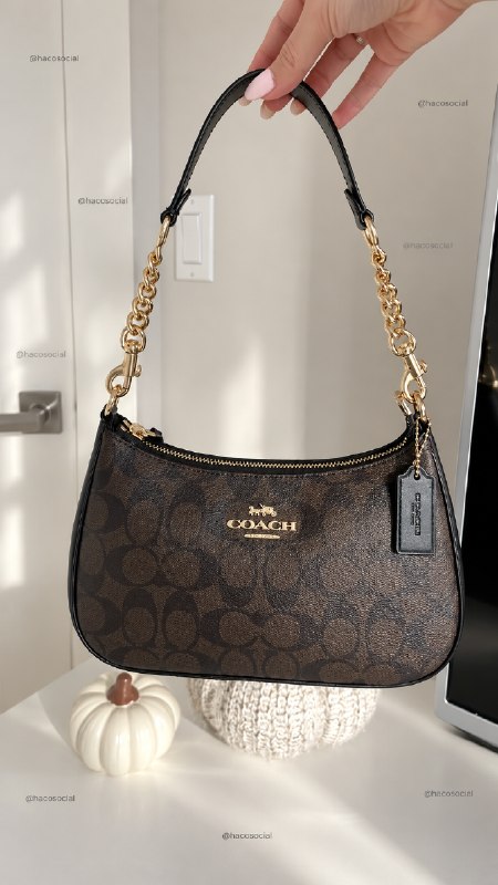 Coach teri Handtasche – Hacoo-Link