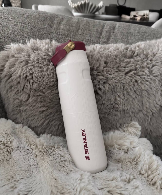 Stanley Trinkflasche – Hacoo-Link