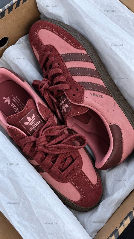 Baskets Adidas Samba – Lien Hacoo