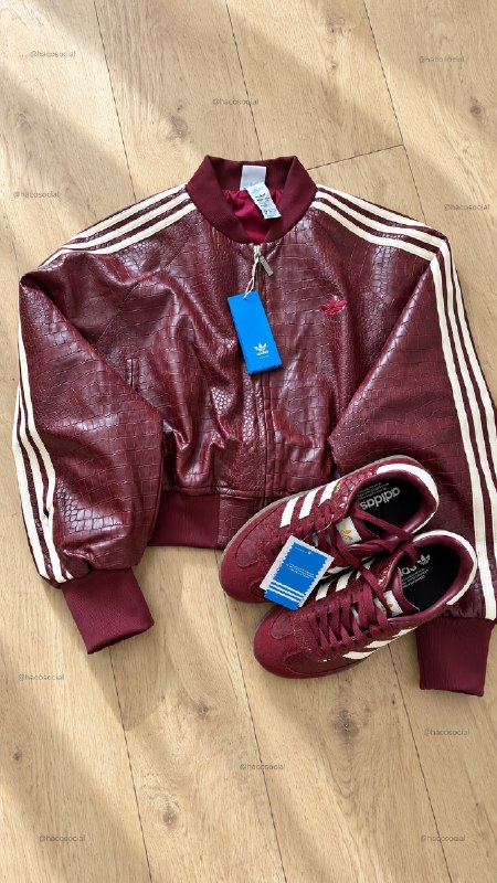 Giacca Adidas – Link Hacoo