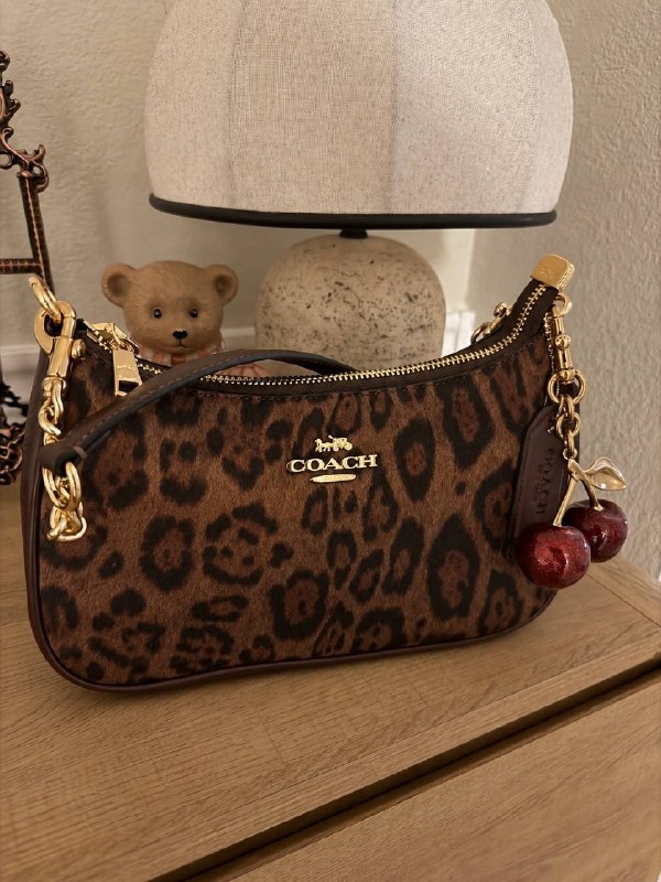 Borsa a tracolla Coach – Link Hacoo