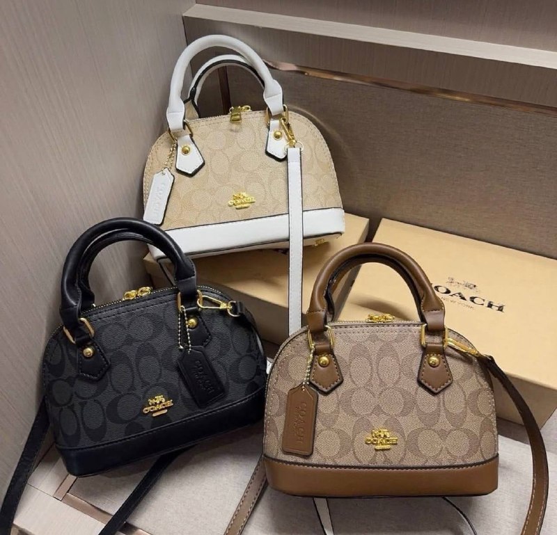 Mala Coach – Link da Hacoo · foto 3