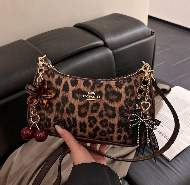 Bolso Coach – Enlace de Hacoo