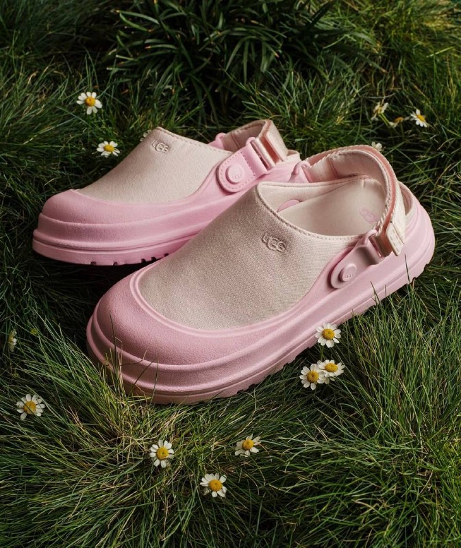 Zoccoli Ugg Goldenglow Canvas Clog – Link Hacoo · foto 5
