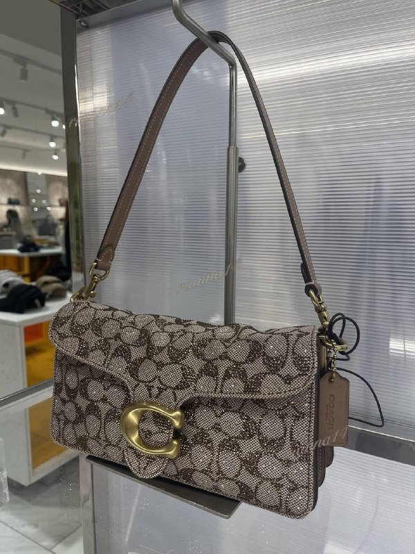 Coach Crystal Signature Jacquard Bolsos handbag – Hacoo link · photo 5