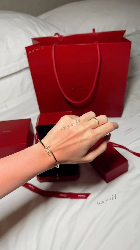 Cartier bracelet – Hacoo link · photo 3
