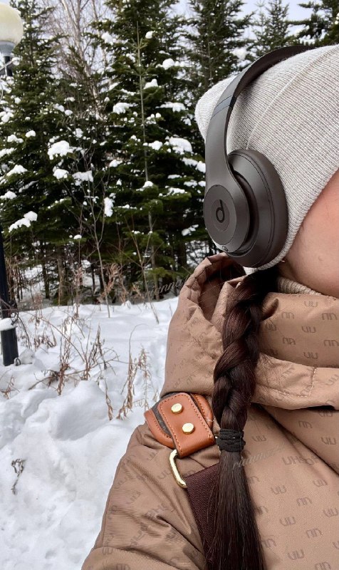 Jbl · Apple · Beats · Bose – Hacoo link · photo 2