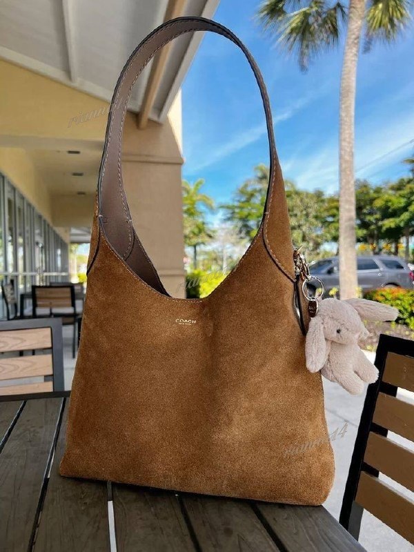 Coach de Ante handbag – Hacoo link · photo 2