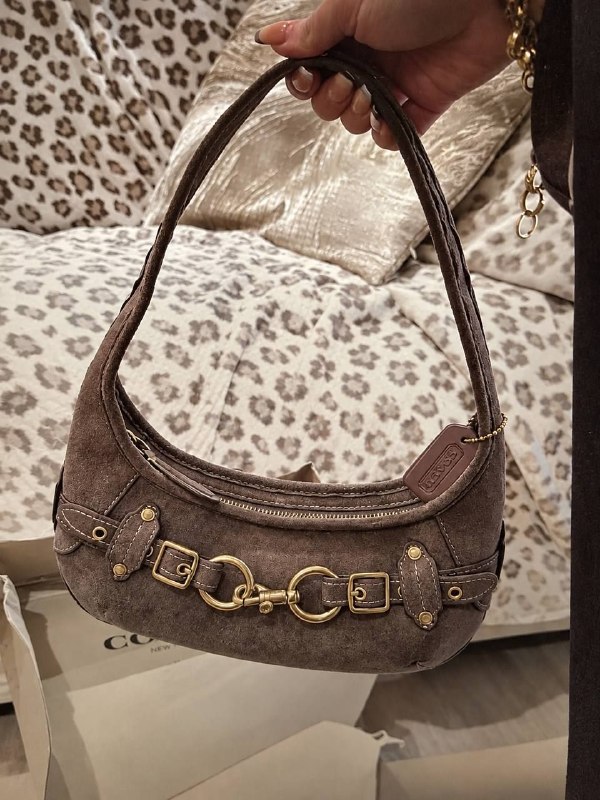 Coach handbag – Hacoo link