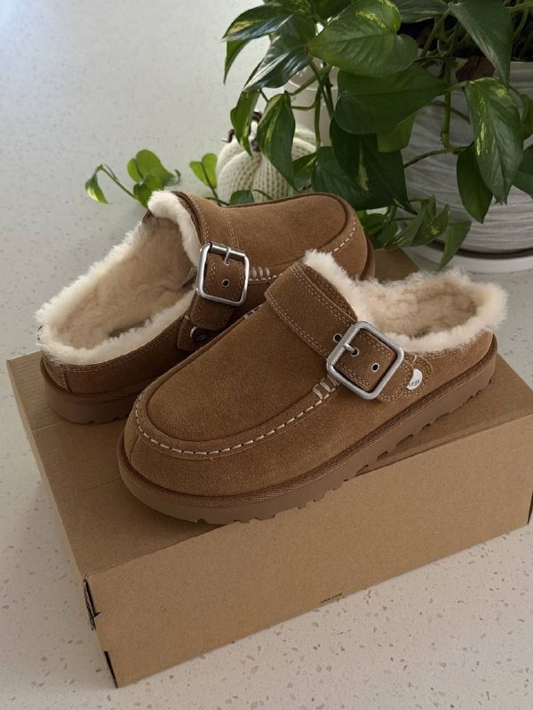 Chaussons Ugg – Lien Hacoo