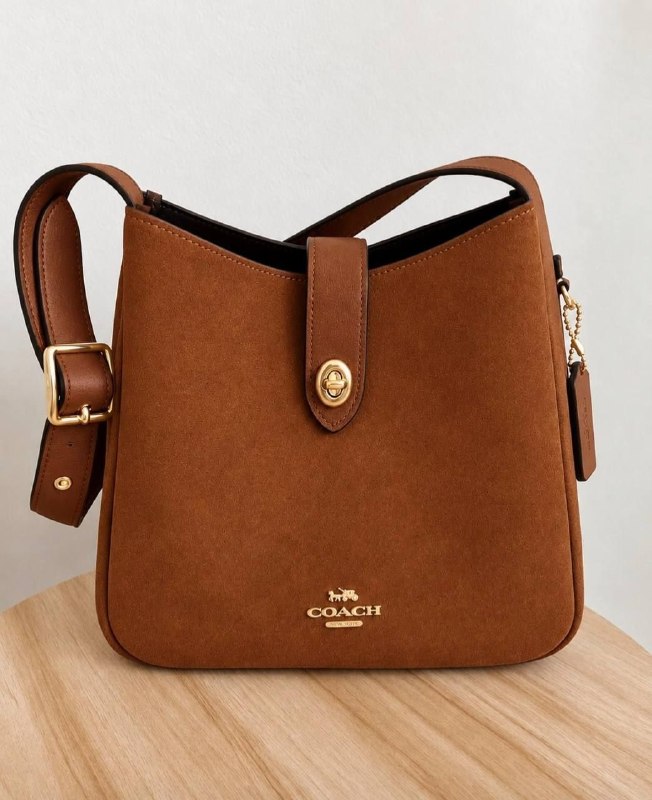 Coach handbag – Hacoo link