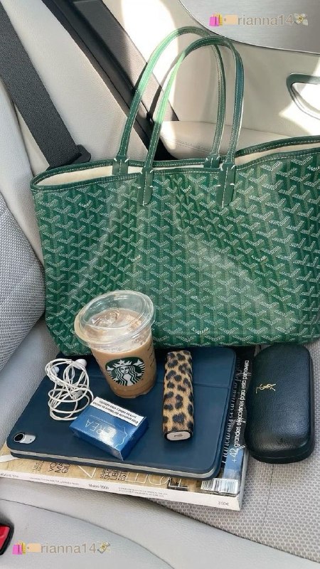 Goyard Saint Louis tote bag – Hacoo link · photo 5
