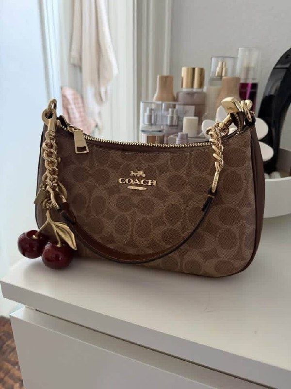 Coach Teri crossbody bag – Hacoo link