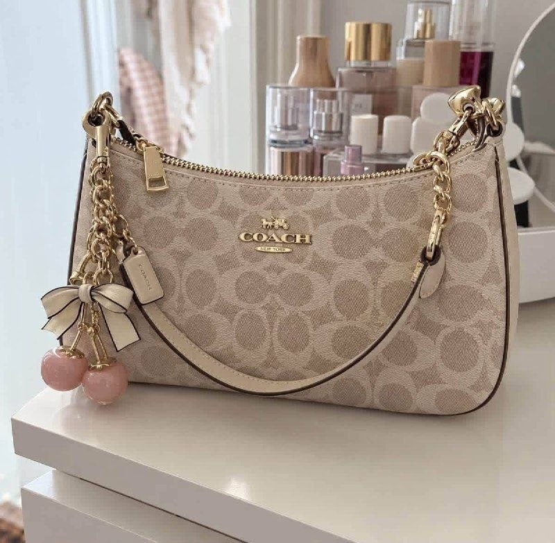 Coach Teri crossbody bag – Hacoo link · photo 2