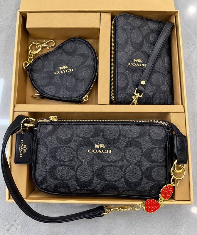 Coach crossbody bag – Hacoo link