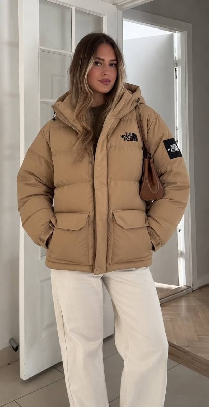 The North Face puffer jacket – Hacoo link · photo 2