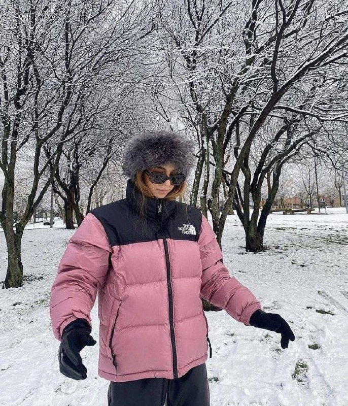 The North Face puffer jacket – Hacoo link · photo 3