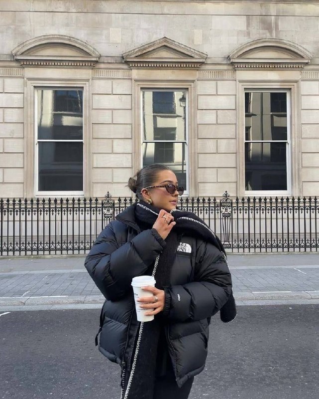 The North Face puffer jacket – Hacoo link · photo 5