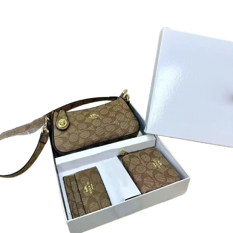 Coach crossbody bag – Hacoo link