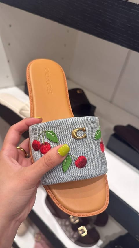 Ciabatte Coach – Link Hacoo