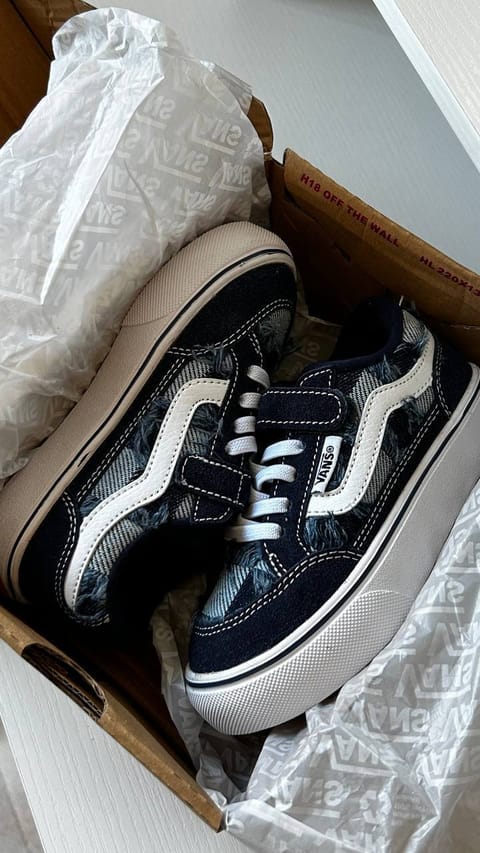 Vans Old Skool Sneaker – Hacoo-Link