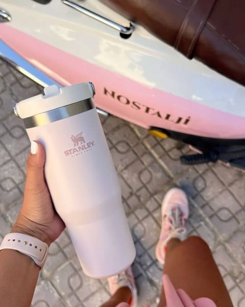 Bicchiere termico Stanley Thermos – Link Hacoo