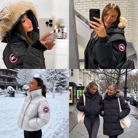Canada Goose coat – Hacoo link