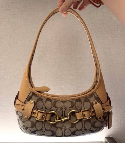 Borsa Coach – Link Hacoo