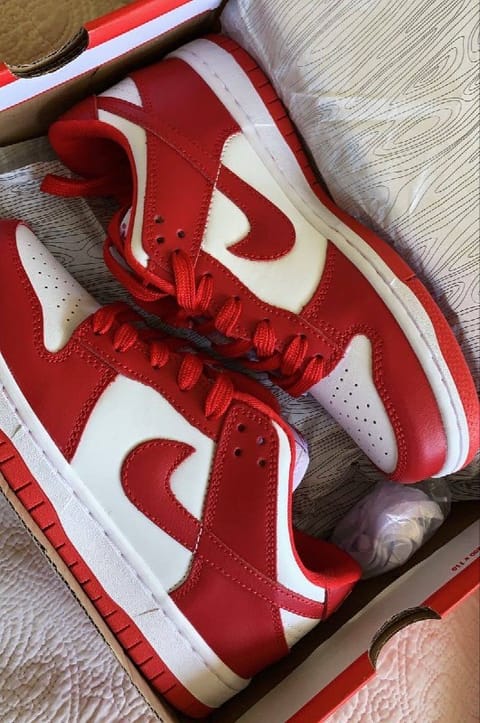 Zapatillas Nike Dunk – Enlace de Hacoo