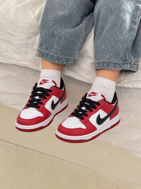 Zapatillas Nike Dunk Low ninos – Enlace de Hacoo