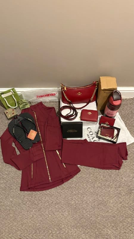 Mala Owala / Coach / isabel marant / Van Cleef Arpe – Link da Hacoo