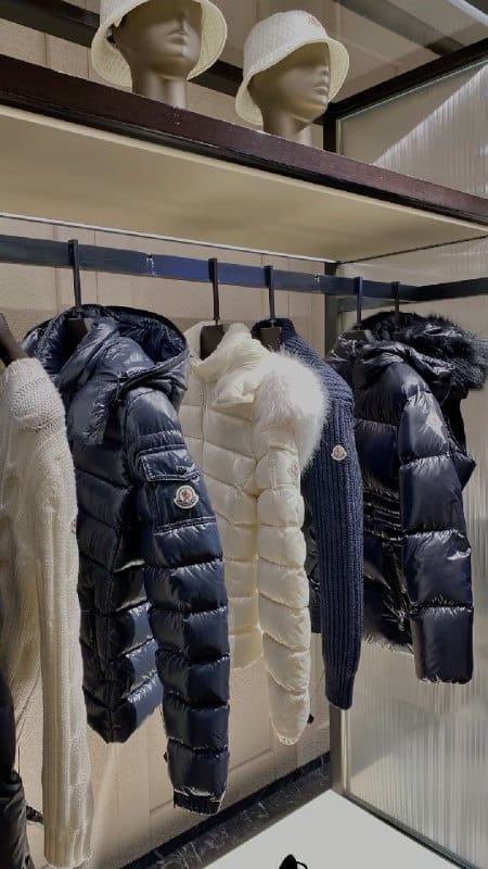 Canada Goose · The North Face · The North Face Puffer de peluche · Moncler – Link Hacoo