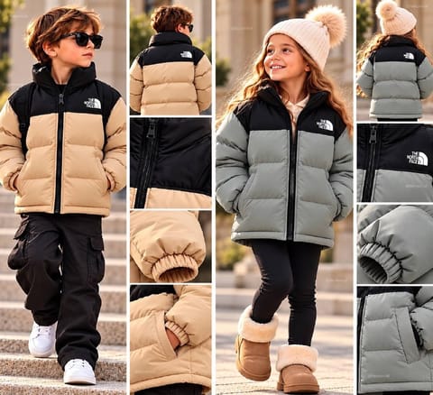 The North Face puffer jacket – Hacoo link