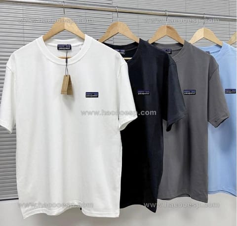 Patagonia T-shirt – Hacoo link