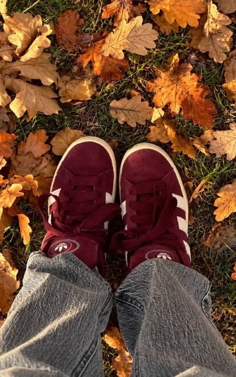 Adidas Campus Sneaker – Hacoo-Link
