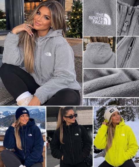 The North Face Hoodie – Hacoo-Link