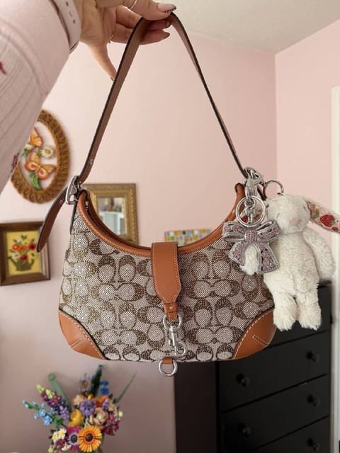 Coach handbag – Hacoo link