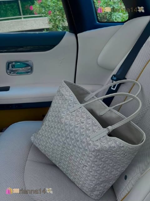 Goyard Saint Louis tote bag – Hacoo link